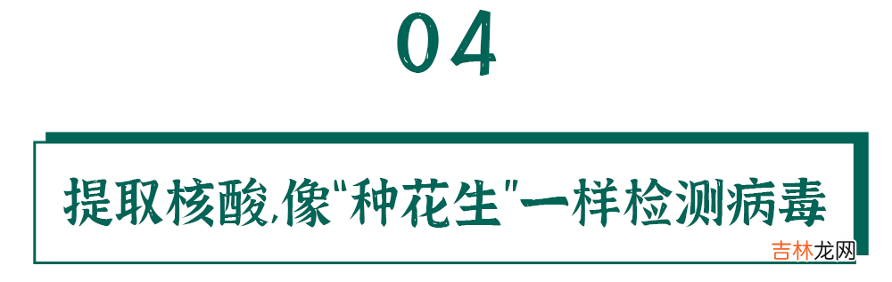 检索报告题目 检索报告是什么意思