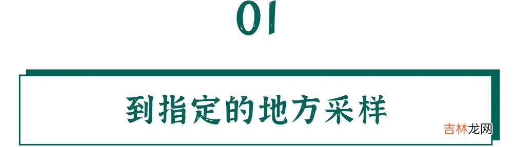 检索报告题目 检索报告是什么意思