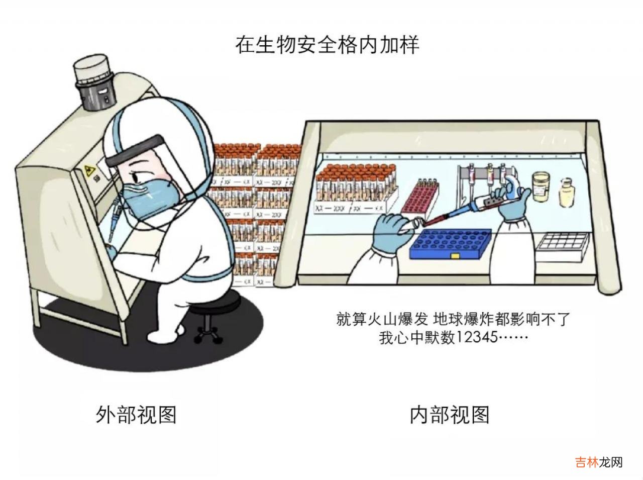检索报告题目 检索报告是什么意思