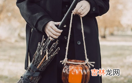 狗与狗生肖是否合婚配 狗与狗生肖的属相符吗