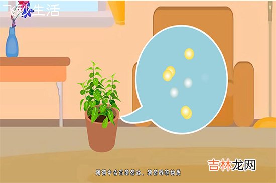 蚊子怕什么