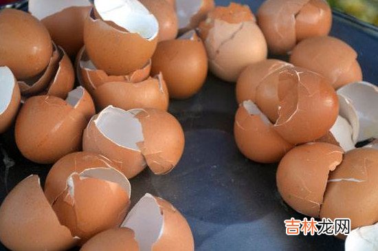 鸡蛋壳是干拉圾还是湿垃圾
