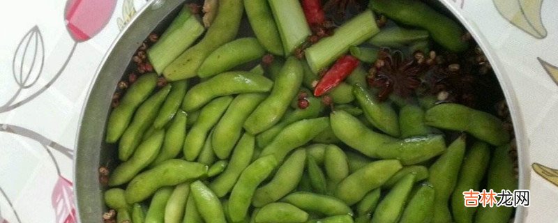 煮毛豆放什么调料