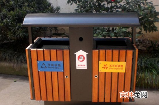 桃子核是干垃圾还是湿垃圾