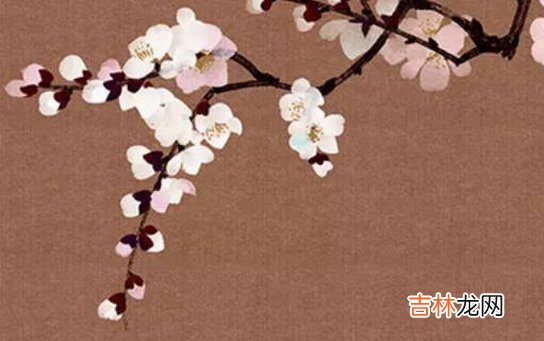 2020年12月20号十一月初六出生的男孩命运好吗,怎么八字起名