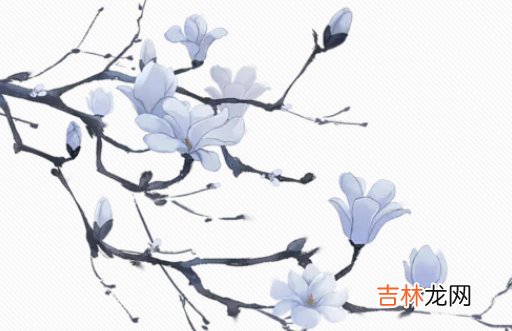 2020年12月29号十一月十五出生的男孩五行缺什么,怎么八字起名