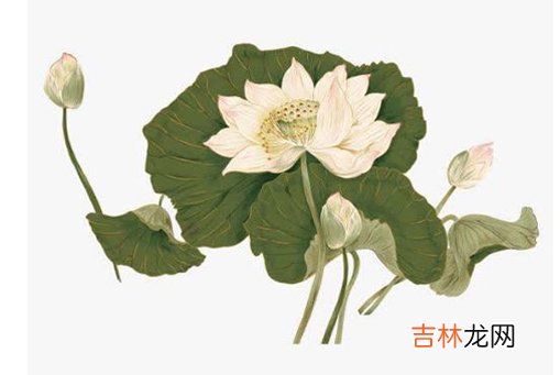 2020年10月26号九月初十出生的女孩命好吗,五行八字起名
