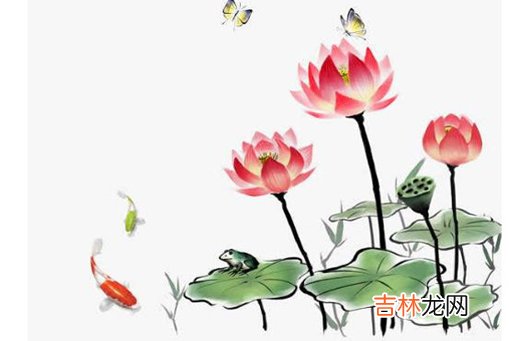 2020年10月26号九月初十出生的女孩命好吗,五行八字起名