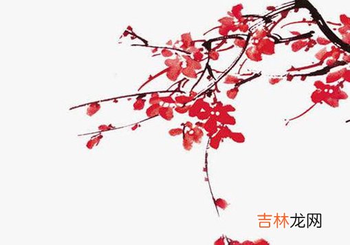 2020年11月7号九月二十二出生的女孩八字好吗,起什么名字好