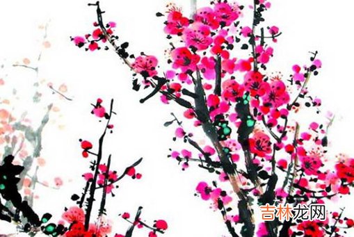 2020年11月21号十月初七出生的女孩是什么命,起什么名字高分