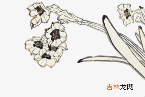 2020年11月23号十月初九出生的女孩是什么命,起什么名字高分