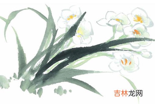 2020年11月24号十月初十出生的女孩是什么命,如何八字起名