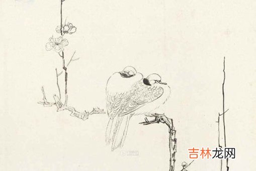 2020年11月19号十月初五出生的女孩是什么命,起什么名字高分