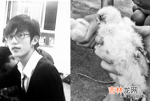 大学生犯罪了会被开除学籍吗 大学生犯罪案例大全