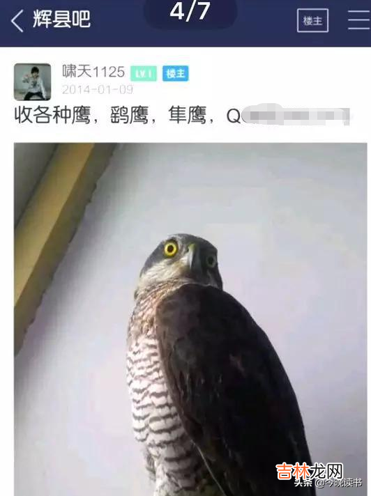 大学生犯罪了会被开除学籍吗 大学生犯罪案例大全