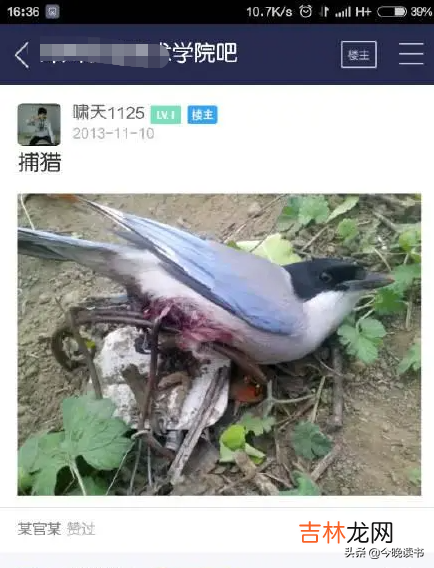 大学生犯罪了会被开除学籍吗 大学生犯罪案例大全