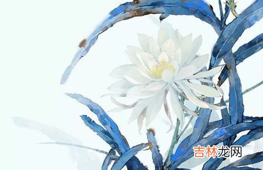 2020年12月27号十一月十三出生的女孩是什么命,起什么名字好