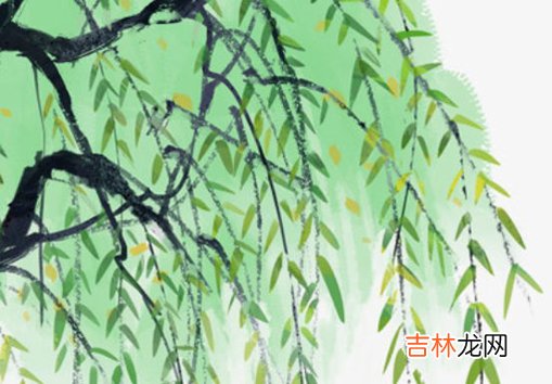 2020年12月16号十一月初二出生的女孩命好吗,起什么名字好