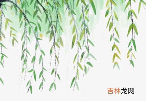 2020年12月16号十一月初二出生的女孩命好吗,起什么名字好
