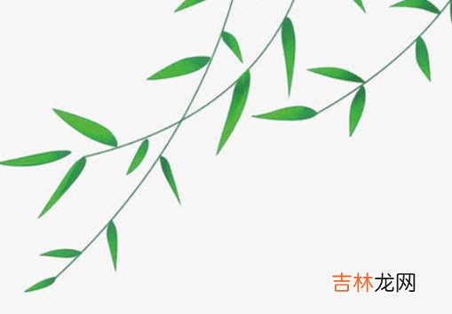 2020年12月17号十一月初三出生的女孩八字好吗,五行八字起名