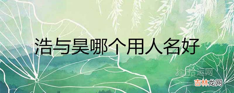 浩与昊哪个用人名好