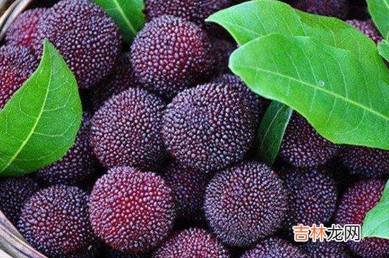 杨梅吃了有什么好处