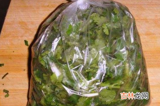 香菜怎么长时间储存