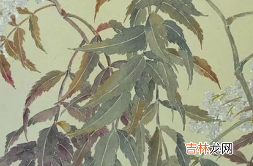 2020年农历七月生的男孩如何取名字,好名推荐