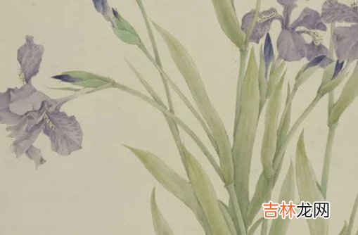 八字起名:2020年农历七月生的男孩怎么起名字