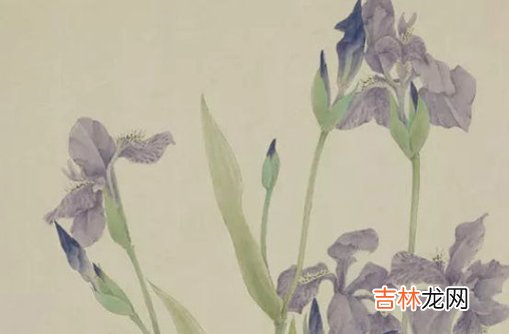 八字起名:2020年农历七月生的男孩怎么起名字