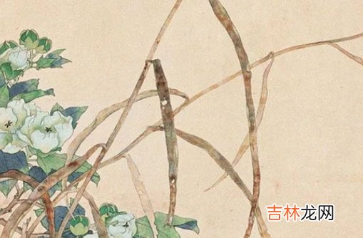 生辰八字取名字:2020年农历七月宝宝取名大全