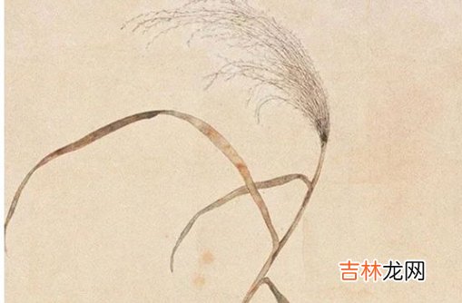 生辰八字取名字:2020年农历七月宝宝取名大全