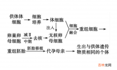 必备重要知识点 高中生物知识点总结