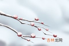 痣与算命_女命伤官见官与“克夫”