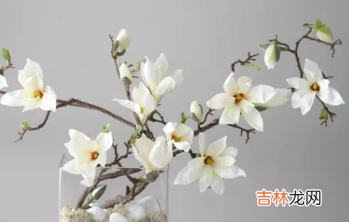 2020年农历十一月出生的女孩取名宜用字介绍