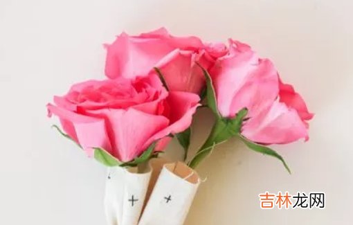 2020年农历十一月出生的女孩取什么名字好听