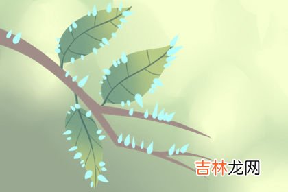 易经大师算命_为啥聪明的人大多是瘦子