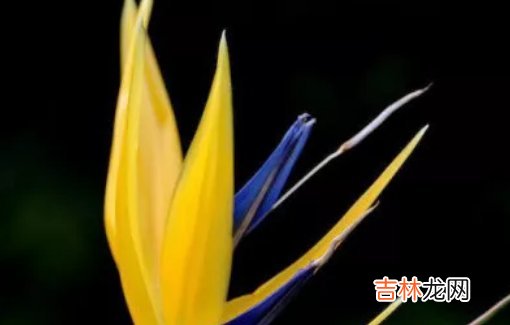 2020年8月出生女孩如何起名字,优雅加分好名推荐
