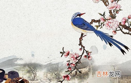 2020年8月出生的鼠宝宝起名,有创意的名字