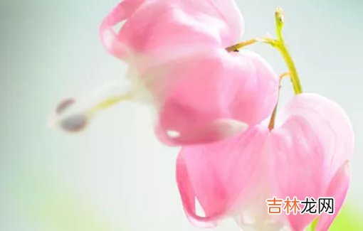 2020年9月出生的宝宝起什么名字好,动听好名分享