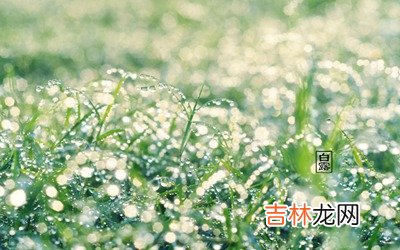 2020年白露出生的男孩起名能用什么字最好？