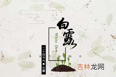 2020年白露出生的男孩起名能用什么字最好？