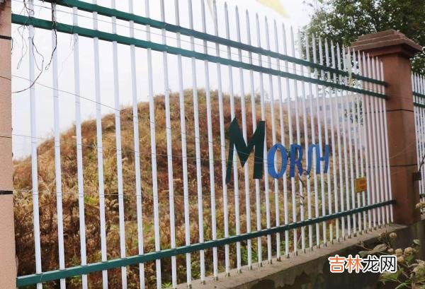 年假申请表怎么填写 年假申请表下载