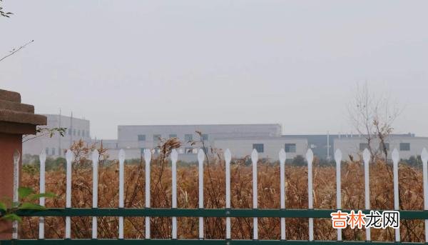 年假申请表怎么填写 年假申请表下载