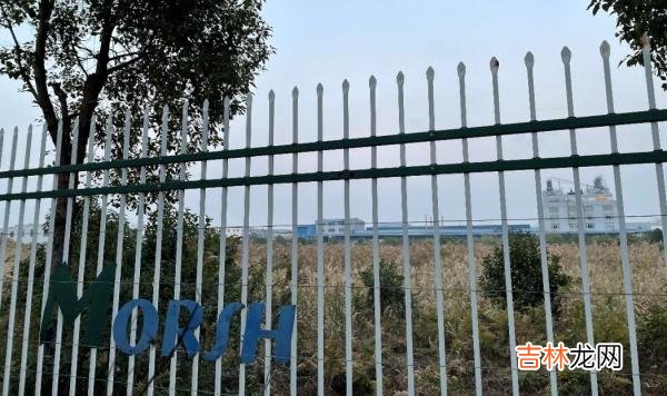 年假申请表怎么填写 年假申请表下载