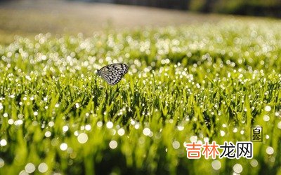 2020鼠年白露出生宝宝起名，白露出生的伟人名人有哪些？