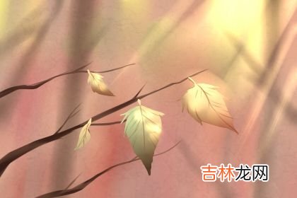 小品算命笑抽了_占卜预测名家：陈少楷个人简介