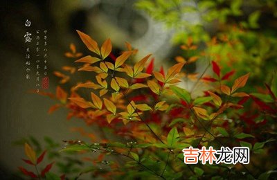 2020鼠年白露出生的男孩八字缺木起名怎么补?