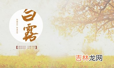 2020鼠年白露出生的女孩八字缺木名字一定要有木字吗?