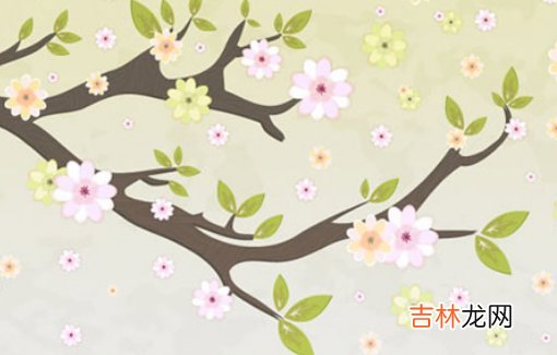 2020年11月出生鼠宝宝取名,有寓意的好名分享